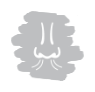 improved sense of smell icon